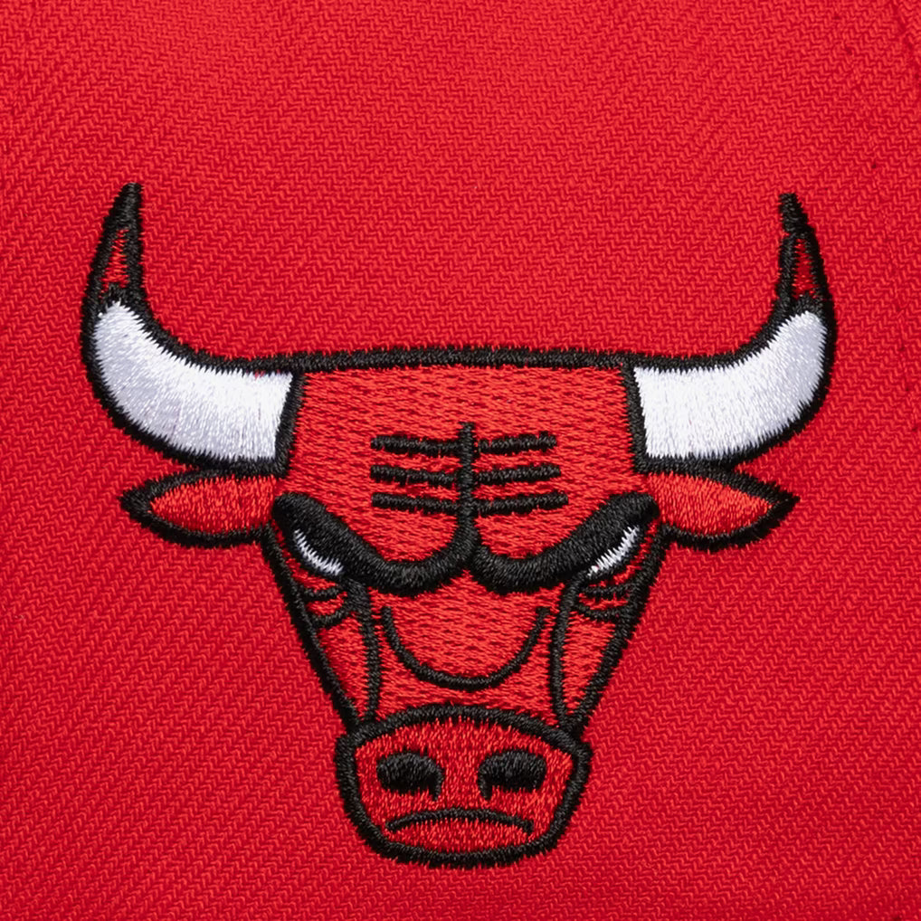 Chicago Bulls Red Head Coach Pro Crown Snapback Hat