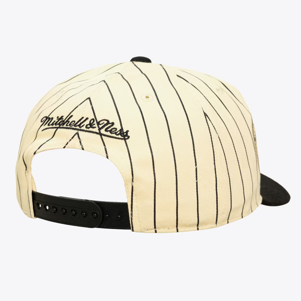 Vancouver Grizzlies Cream/Black Hardwood Classics Retro Roots Stripe Pro Pinch Snapback Hat