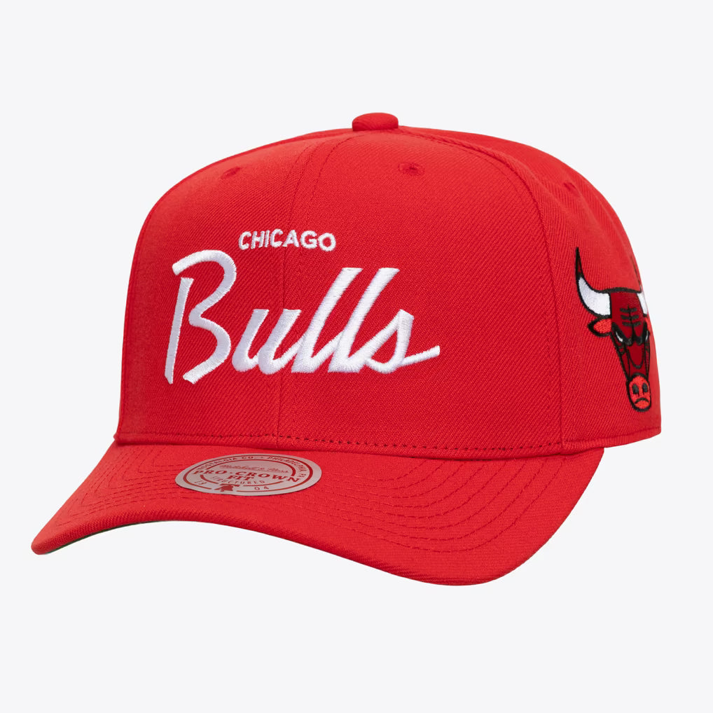Chicago Bulls Red Head Coach Pro Crown Snapback Hat