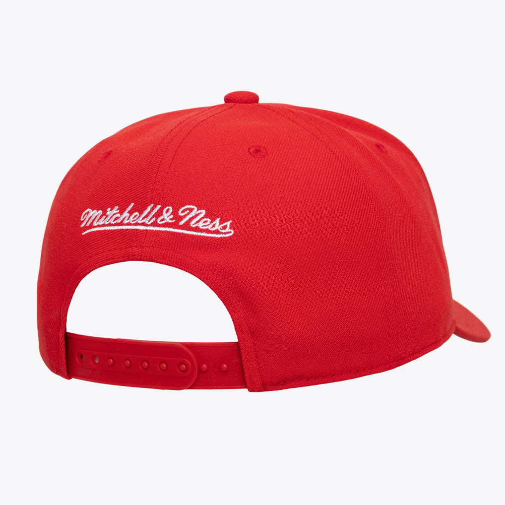 Chicago Bulls Red Head Coach Pro Crown Snapback Hat
