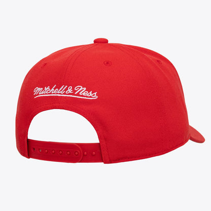 Chicago Bulls Red Head Coach Pro Crown Snapback Hat