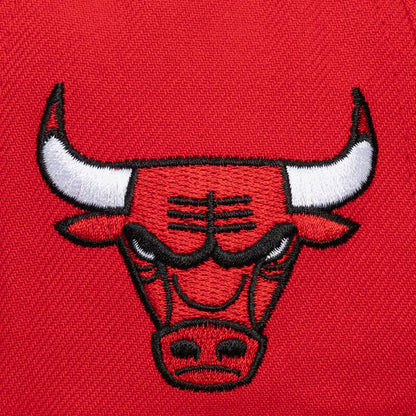 Chicago Bulls Red Head Coach Pro Crown Snapback Hat