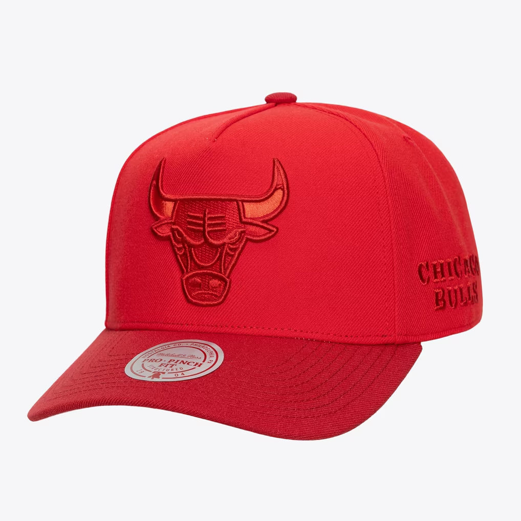 Chicago Bulls Red Legendary Home Pro Pinch Snapback Hat