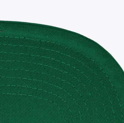 Philadelphia Eagles Silver/Kelly Green Legendary Away Snapback Hat